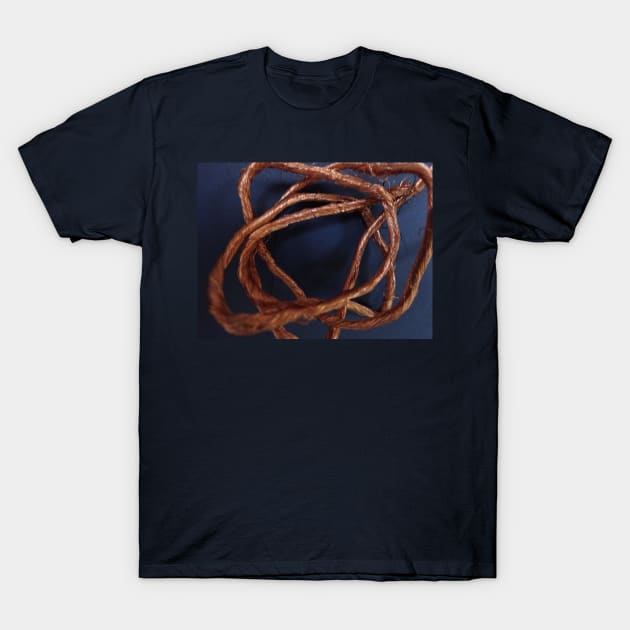 What's this? - 3 T-Shirt by walter festuccia